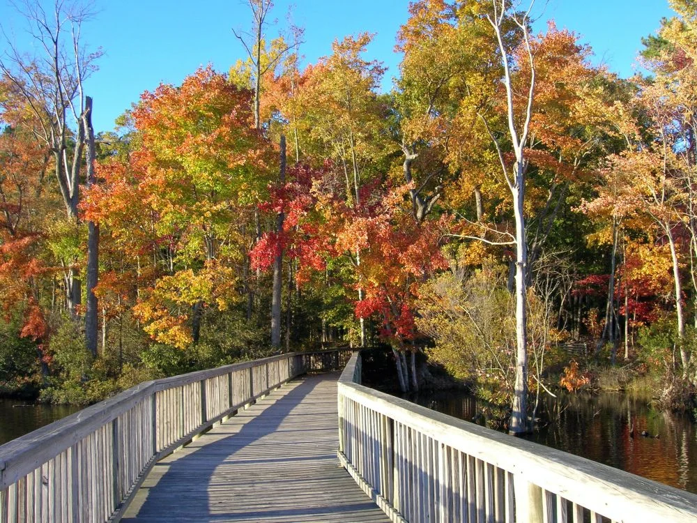 Newport News Property Management